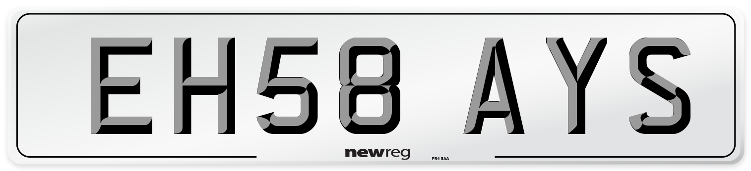 EH58 AYS Number Plate from New Reg